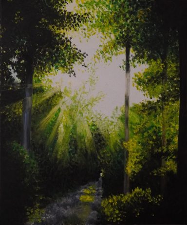 Spaziergang im Wald Licht im Dunkel. Durch einen dicht belaubten, dunklen Frühlingswald bricht morgens die Sonne.